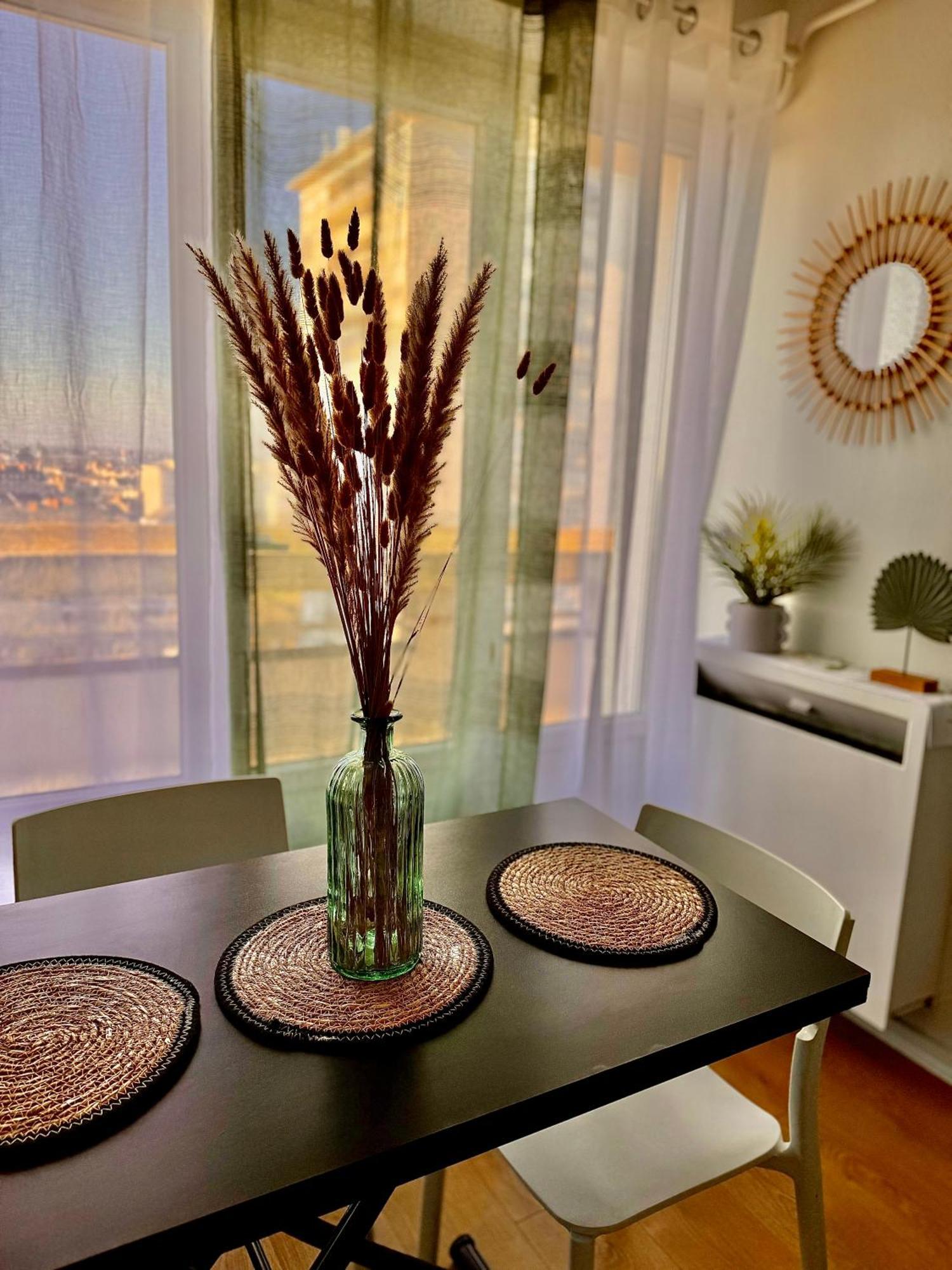 T1 Bis - La Belle Vue Apartment Orleans Ngoại thất bức ảnh
